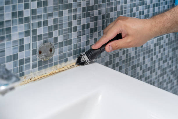 Best Insurance-Related Mold Remediation in Bermuda Run, NC
